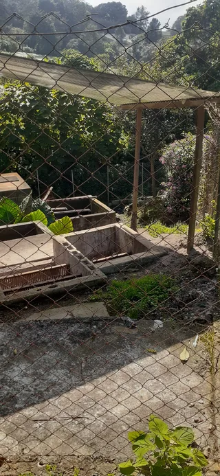 Avance de obra del 09/01/2026 — foto 3