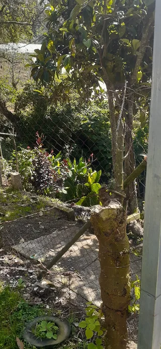 Avance de obra del 09/01/2026 — foto 5