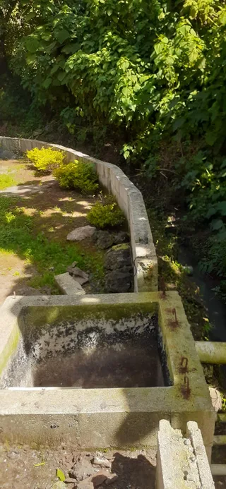 Avance de obra del 23/01/2026 — foto 4