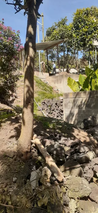 Avance de obra del 23/01/2026 — foto 5