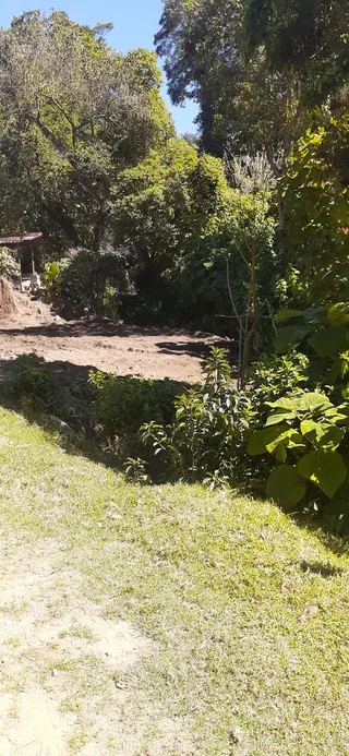 Avance de obra del 20/02/2026 — foto 4