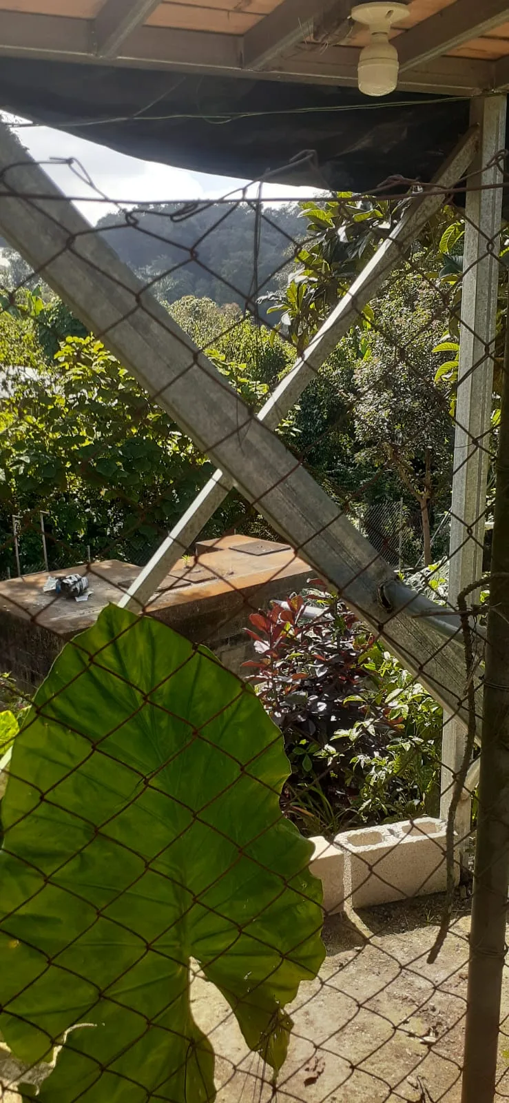 Avance de obra del 09/01/2026