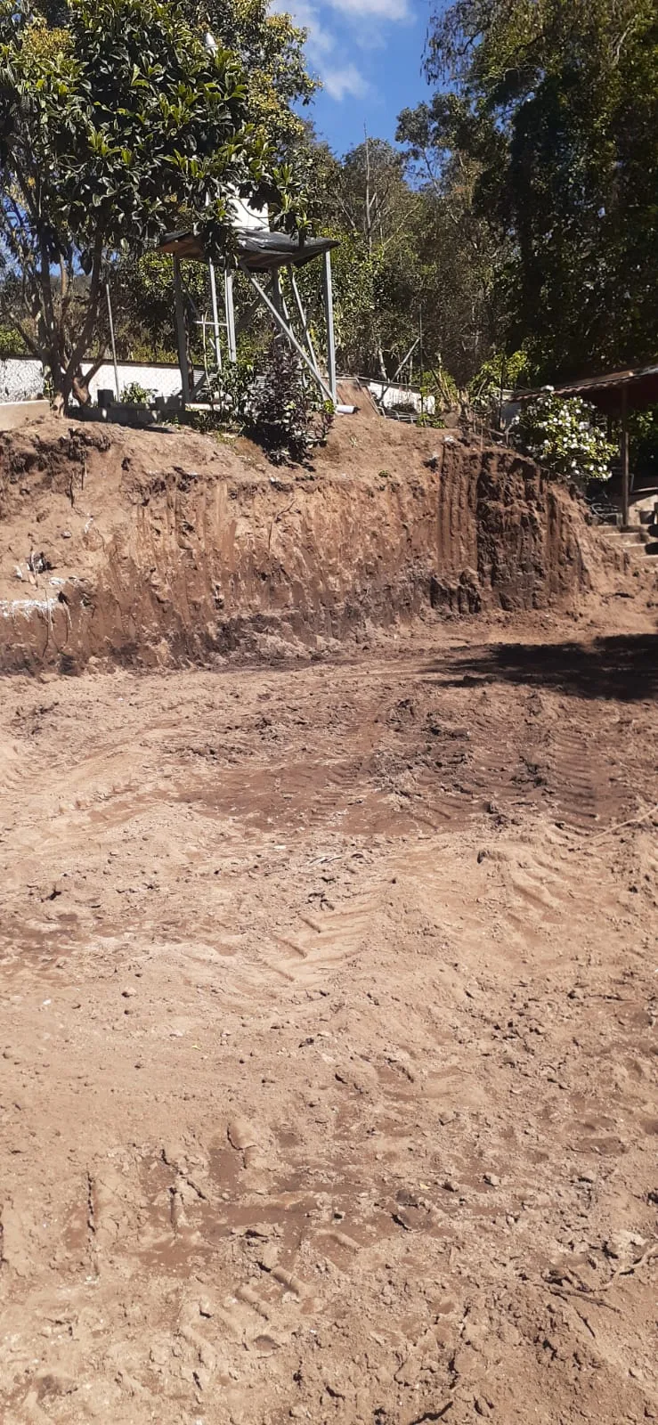 Avance de obra del 20/02/2026